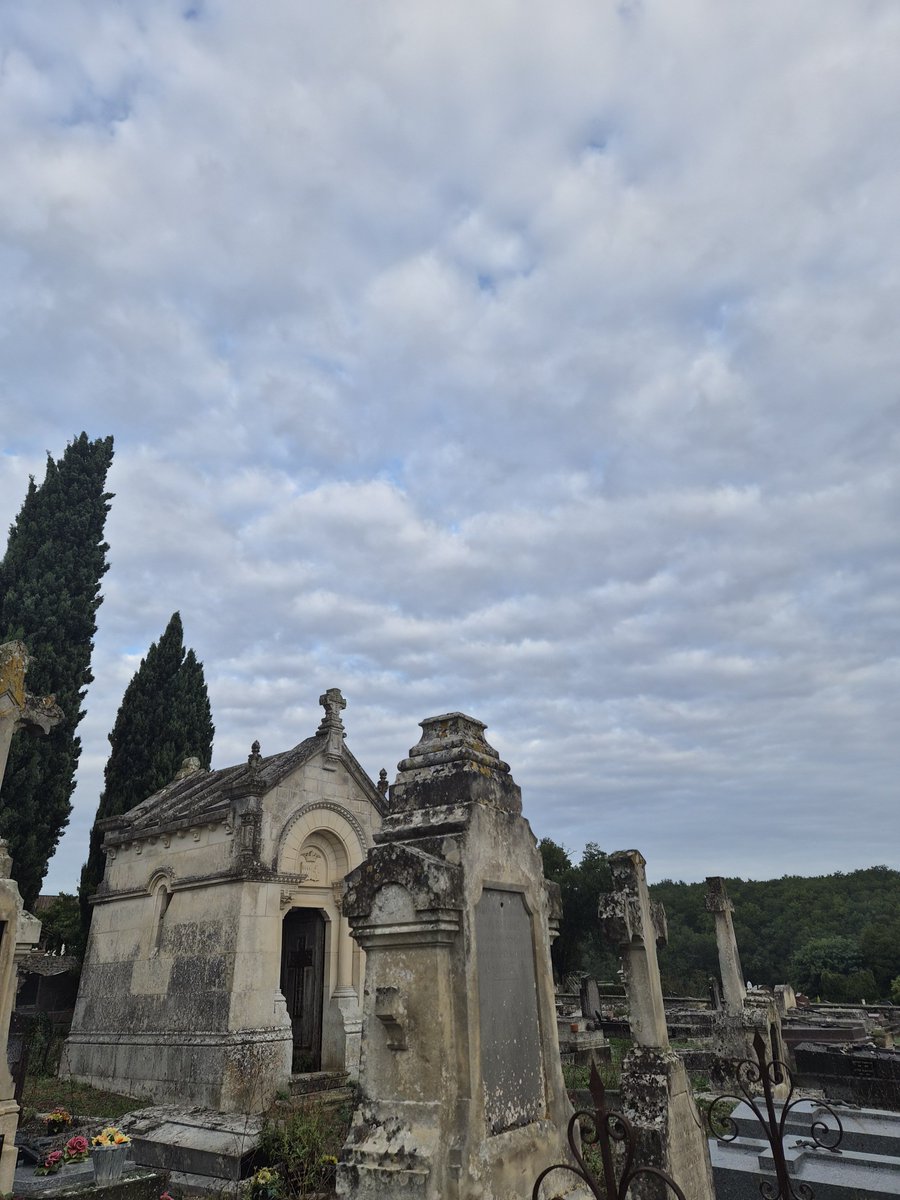 Macabbatt's tweet photo. A good day is a day that starts at the cemetery. Too bad I didn't bring any hot coffee. 🦇 https://t.co/W3qBq0770J