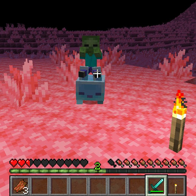 Patito_fritoo's tweet photo. WTF  #minecraftㅤ #minecraftlive https://t.co/asrnepaYLP