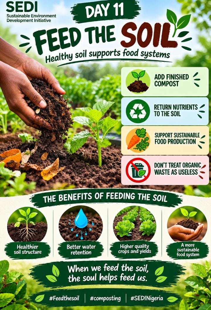 SediNig06's tweet photo. 🌿 Feed the Soil! ♻️ Healthy soil supports healthy food systems. Adding finished compost returns valuable nutrients to the soil, improves soil health, and supports sustainable food production. 🥕🌱 Let’s see organic waste as a resource💚
#Feedthesoil #composting #SEDINigeria https://t.co/5YUEVE1DF0