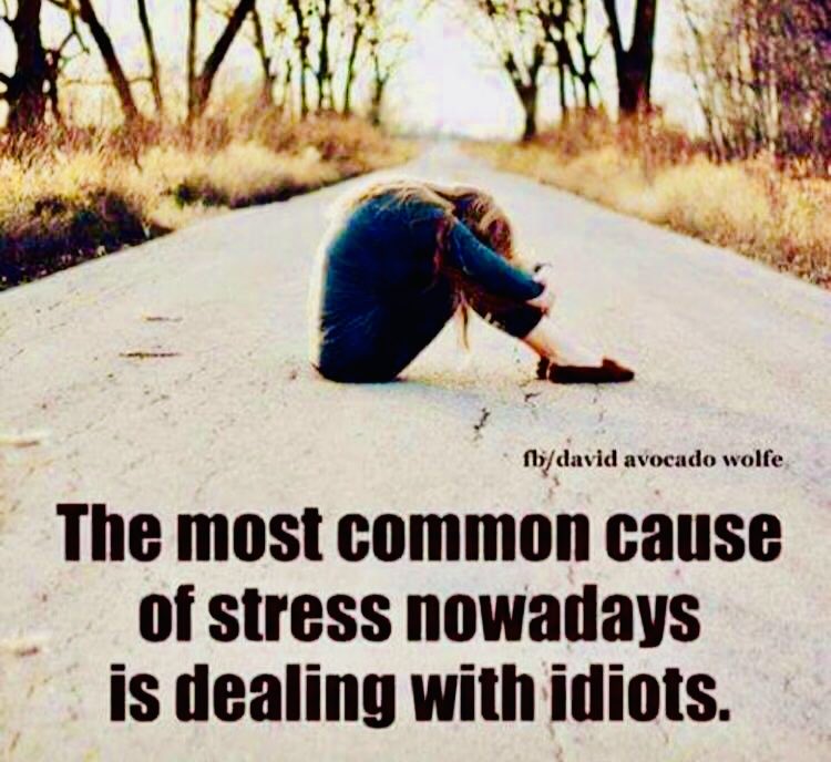 schreflAHA's tweet photo. @Ine_327 https://t.co/rq5da6GhVT