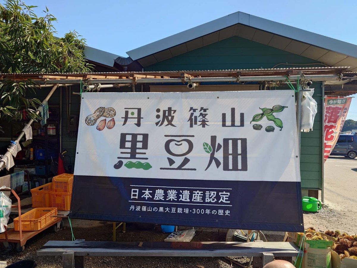 goheiji's tweet photo. 五平次秋の収穫祭
今年も黒豆畑さんで落花生を収穫🥜
黒枝豆は解禁前なので２週間後かな〜🤔

明日から丹波篠山の茹で落花生が‼️
ホクホクの茹でたて落花生とハイボールがまた合うんですよ😘

#五平次 #黒豆畑 #茹で落花生 #焼鳥屋ですがなにか #京都グルメ https://t.co/Kf703swLc0