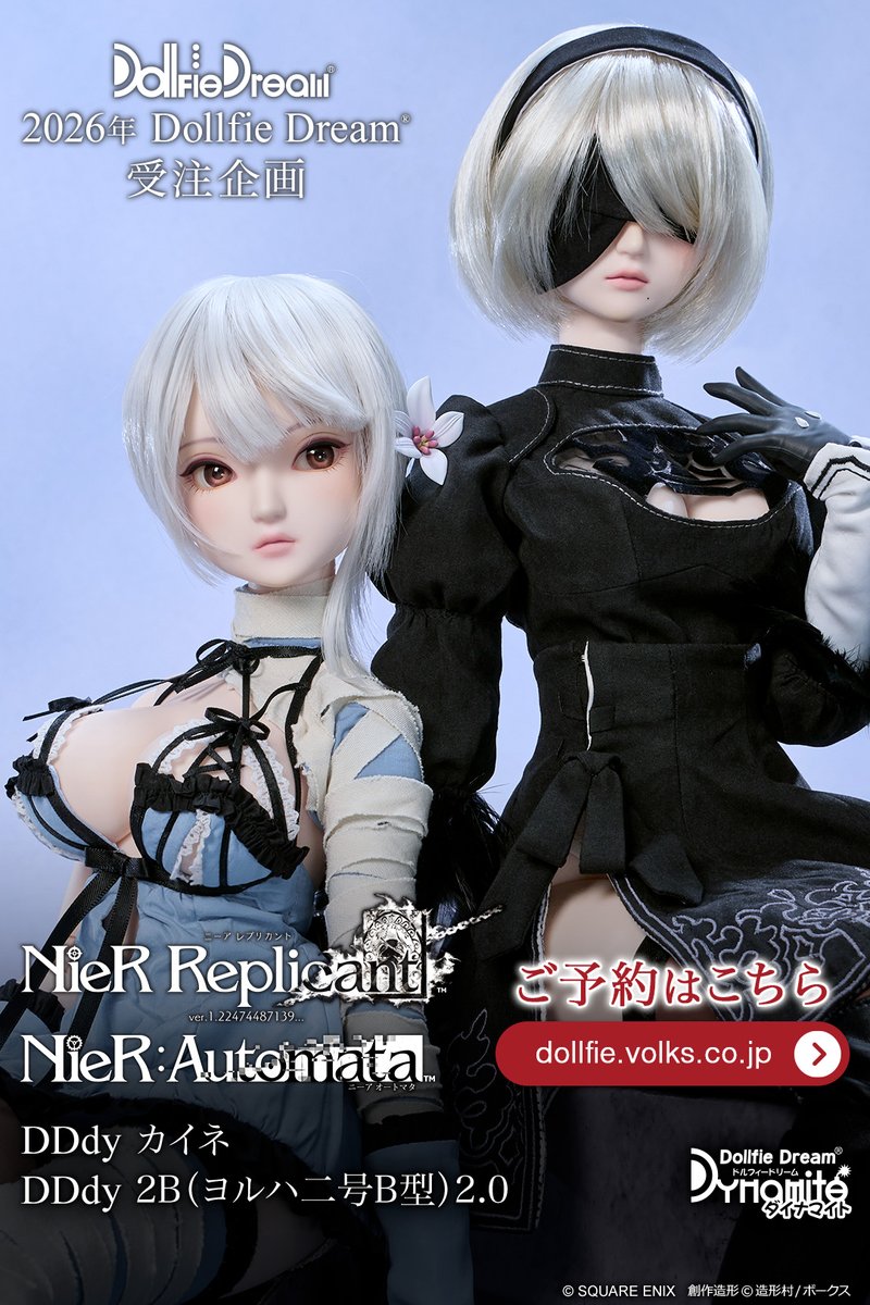 volks_dd's tweet photo. 『NieR』シリーズを代表するふたりが 
ボークスの「ドルフィードリーム」でドール化！

￣￣￣￣￣￣￣￣￣￣￣￣
2B（ヨルハ二号B型）
カイネ
＿＿＿＿＿＿＿＿＿＿＿＿

▼特設サイト
