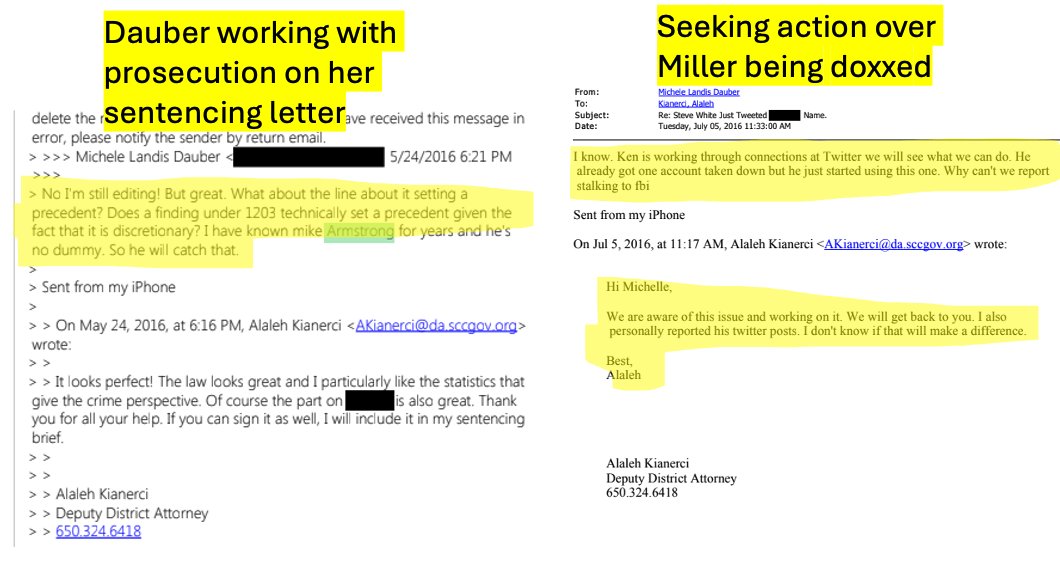brucktorner's tweet photo. @curtis_yarvin Dauber cannot be touched. She's a certified hater, and it's been known a long time that she coordinated with the Santa Clara DA office to get Persky recalled. She also leaked the letters during sentencing from Turner's dad and childhood friend to have them cancelled https://t.co/09mNmwEXk8