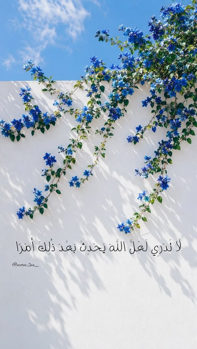 motm2na_'s tweet photo. رِسالة لكَ💙.. https://t.co/nJRJBqZ5LQ