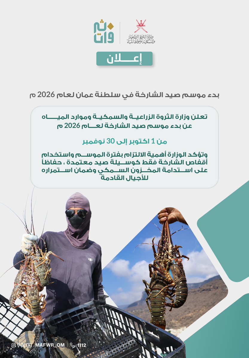 MAFWR_OM's tweet photo. إعــلان | 
بدء موسم صيد الشارخة في سلطنة #عُمان لهذا العام 2026م.
#ثروتنا_البحرية_أمانة. https://t.co/Asfv9NKRex