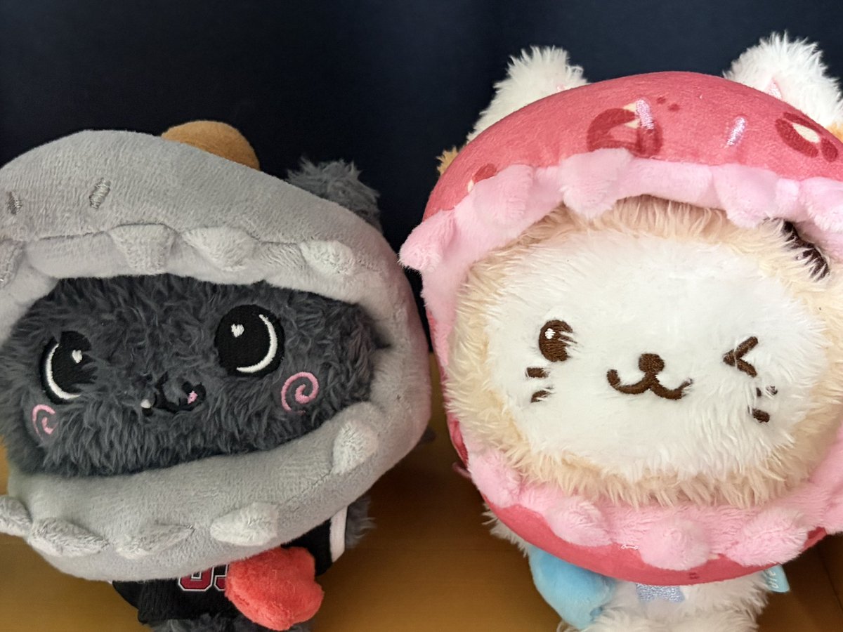 kongge__'s tweet photo. 어떤 대두냥 https://t.co/jrROBHhvV3