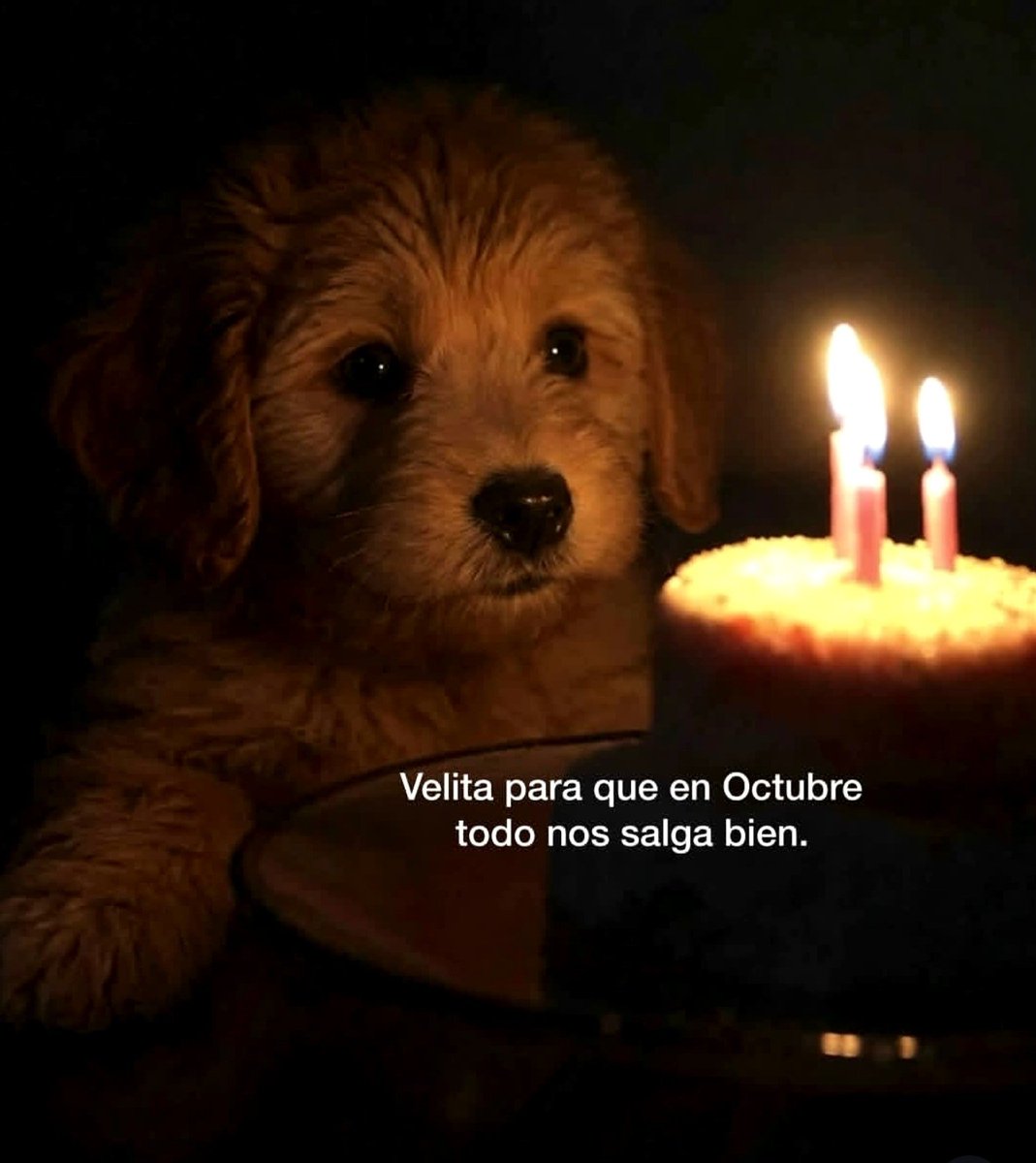 jcbc40's tweet photo. 🕯️ https://t.co/0WvgQzVV9Z