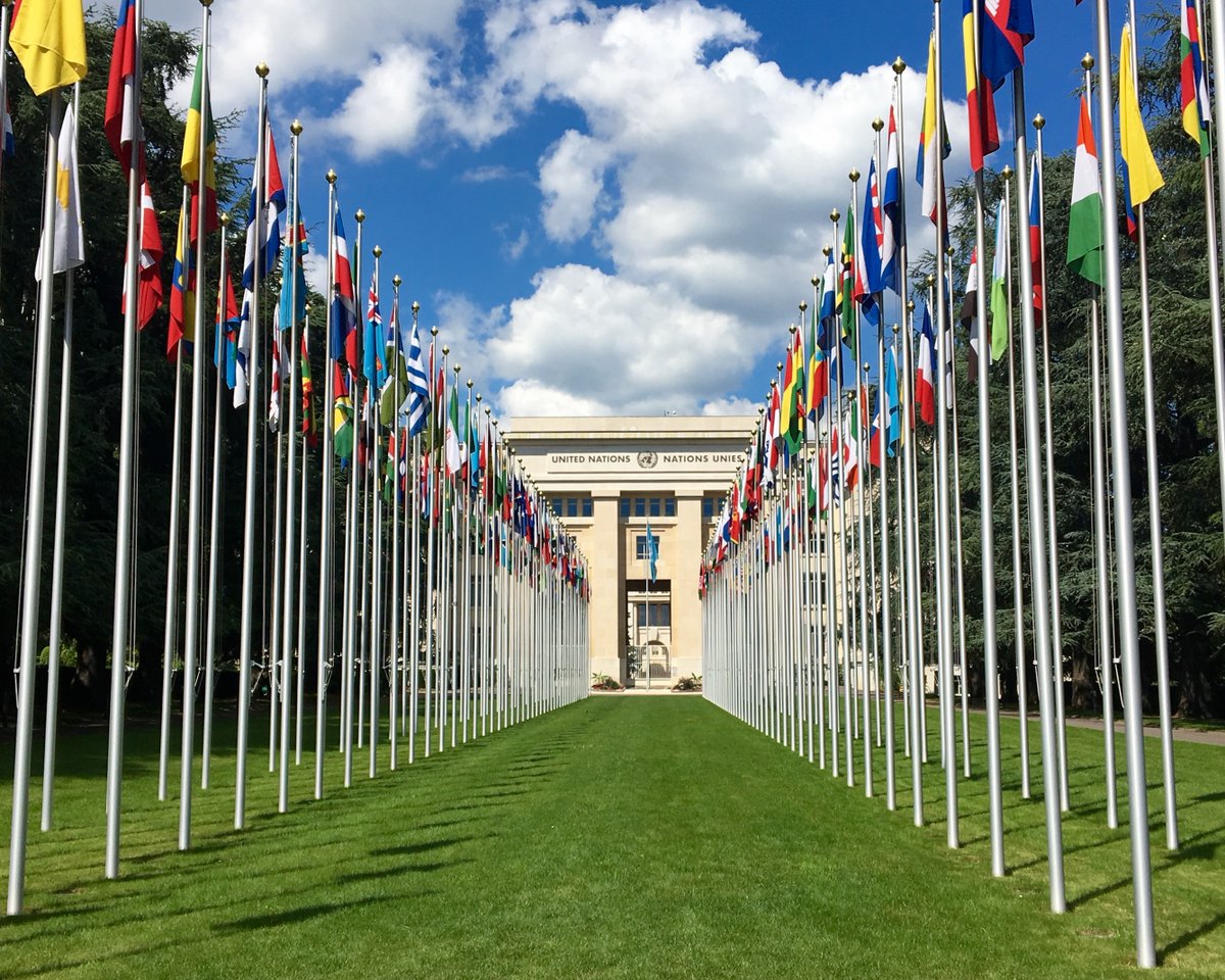 MEIG_Programme's tweet photo. The applications for the 2027-2028 #Master of Advanced Studies in #European and #International #Governance are now open!

Find all necessary information on the #MEIGProgramme website!

https://t.co/3aZ0Cimyy3

#Geneva #EU @UN #IR #MBA #Career @unige_en @GSI_UNIGE @UNIGEnews https://t.co/1PF0YNUJpP