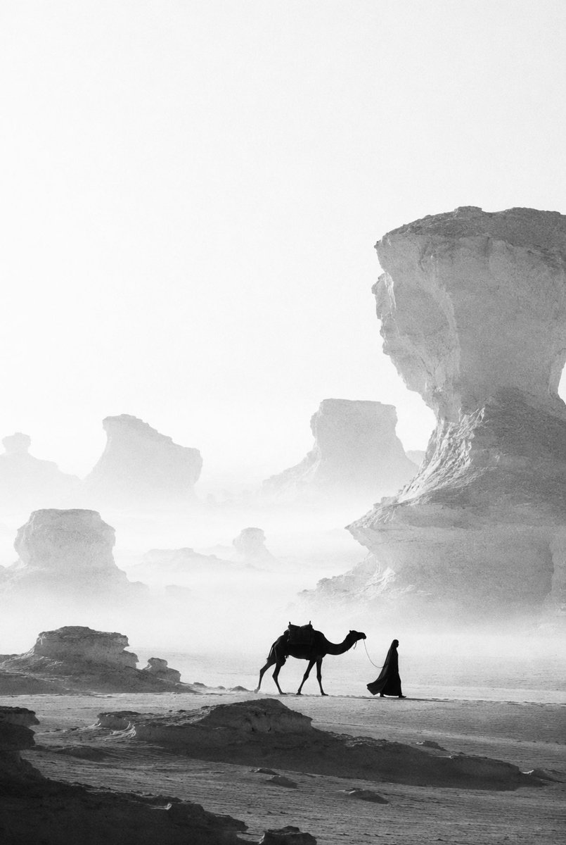 aseelswaid9's tweet photo. One of my works, Egypt https://t.co/x9YyZN3Rs9
