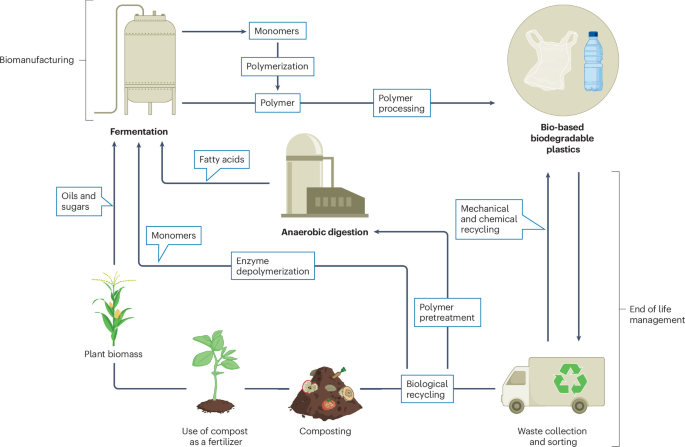 NatureRevMicro's tweet photo. New online! Microbial synthesis and degradation of bio-based biodegradable plastics dlvr.​it/TVkPRV https://t.co/zZXaYHGczj