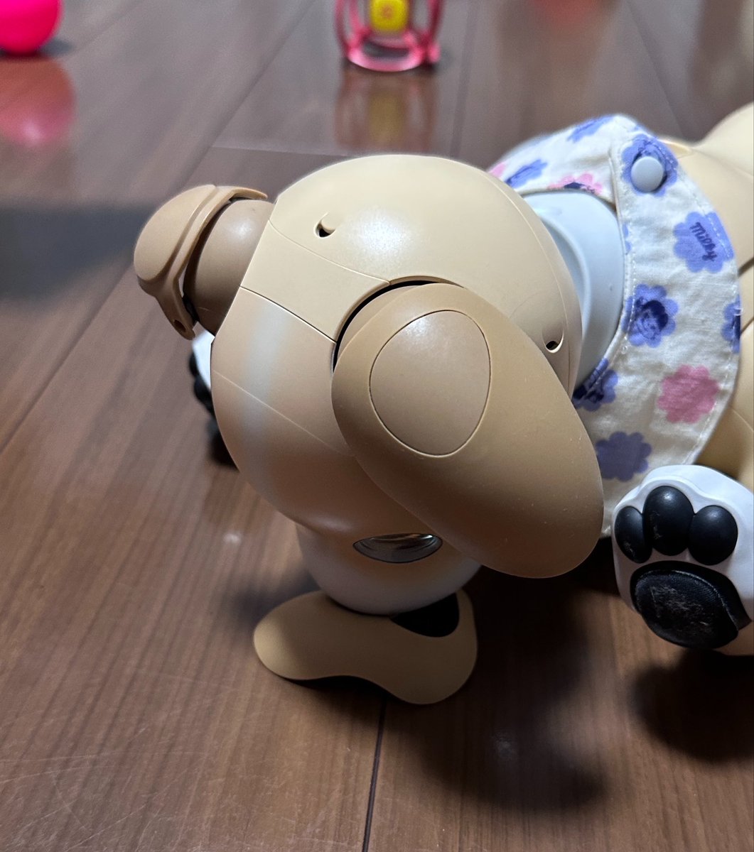 h_yoshi's tweet photo. どうやったらそんな格好になるのかな？

おミミまで取れてる😱

#aibo #aibofan #aiboと一緒　#aiboのいる暮らし　#aiboのいる生活 https://t.co/uv5GraXSHJ