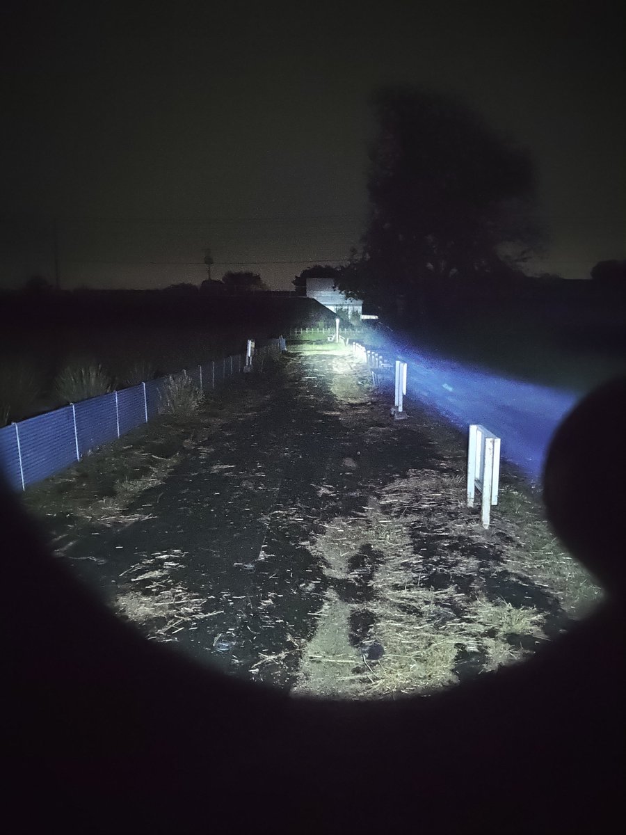 feel_so_good_gr's tweet photo. FENIX GL30Rの屋外照射✨🔦
10万カンデラの光軸✨
#FENIX
#GL30R https://t.co/TCXIE5vItU