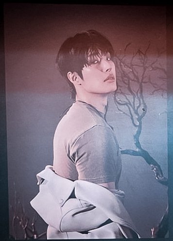 songminginaenwa's tweet photo. 아 미친 
미안하다 저능한나를 용서해
몸 두꺼워진거보고 샷건 오천번침 https://t.co/IzVdZhx9nl