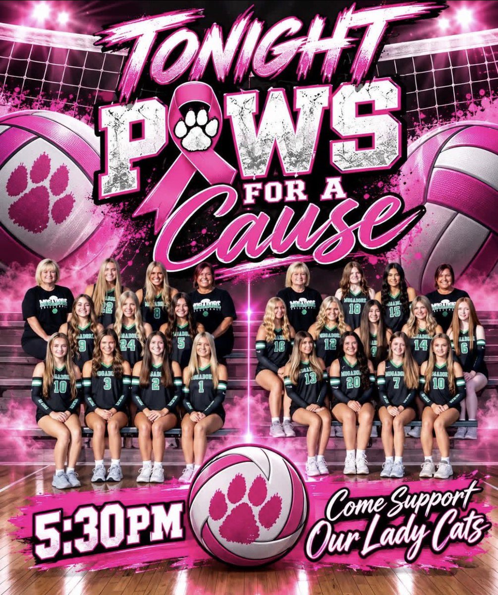 MogAthCats's tweet photo. Come on out and support the girls volleyball program tonight for their annual Paws for a Cause game. #MogadoreWildcatFamily https://t.co/5hnn6wuHeM