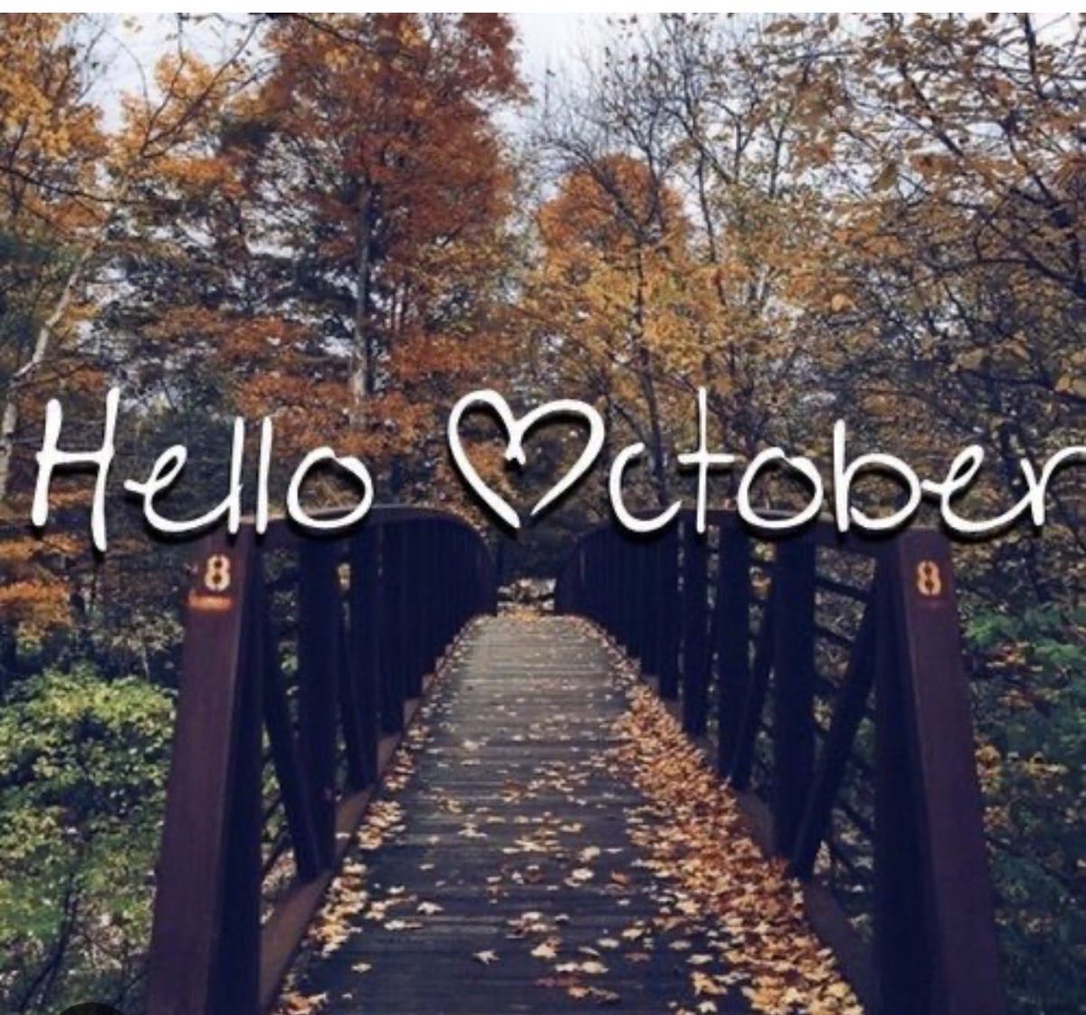 sbarenas62's tweet photo. My favorite time 😊 https://t.co/o4i6t8G3sc