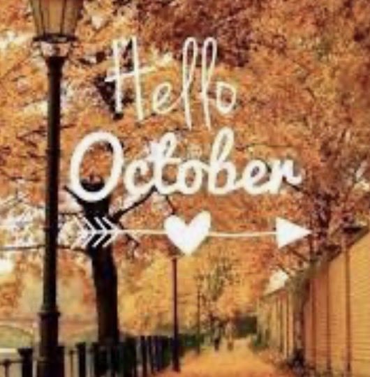sbarenas62's tweet photo. My favorite time of the season😊 https://t.co/XC0w9KEmOM