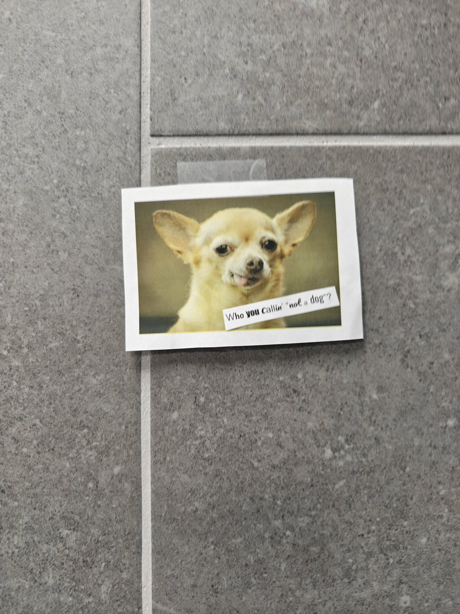 mortalglitch's tweet photo. Was one of the first people at my office this morning and found these stuck above the urinals.
Now I'm confused. https://t.co/wk5DGDDN7N