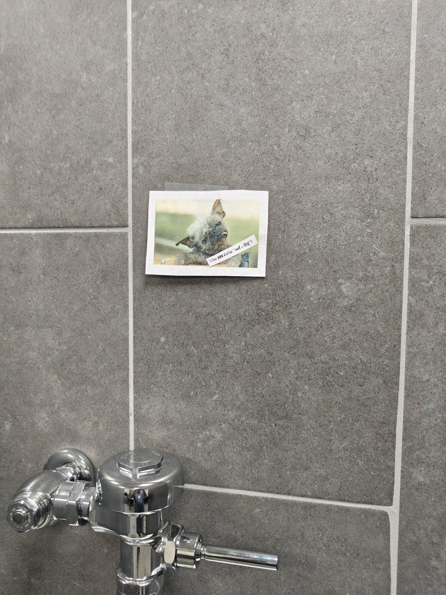 mortalglitch's tweet photo. Was one of the first people at my office this morning and found these stuck above the urinals.
Now I'm confused. https://t.co/wk5DGDDN7N