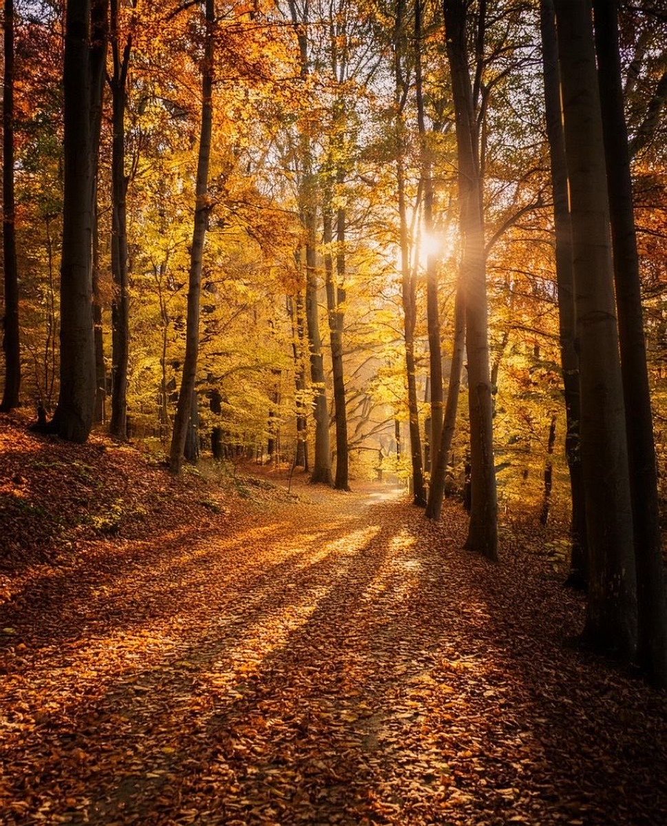 NurseLJohn707's tweet photo. Happy first day of October. May this month bring you peace, warmth and more reasons to be grateful. https://t.co/rSuHDxQ97t