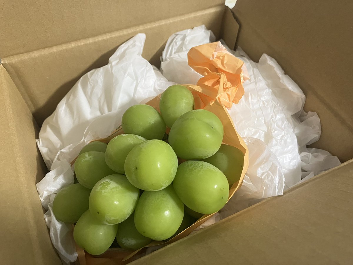 hharu2371's tweet photo. ふるさと納税で頼んだマスカット
想像以上に大きくてびっくりしてる
カットした方が食べやすそう https://t.co/AnoH9rnvc2