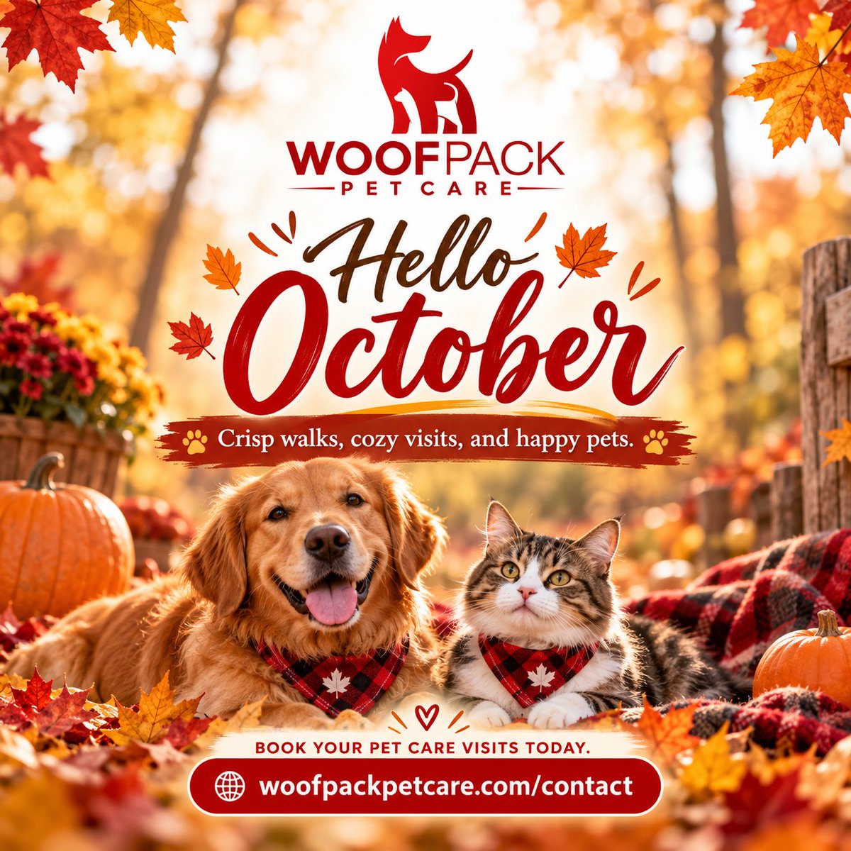 woofpackpetcare's tweet photo. Hello October!!!

#dogsontwitter #CatsOnTwitter #dogsonX #catsonX https://t.co/5jQHTMF1Ej
