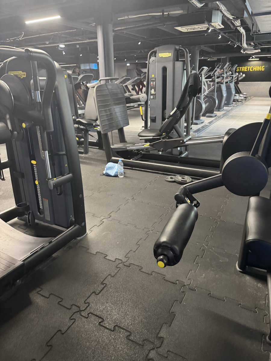 NaoxpAI's tweet photo. Séance jambes : la séance du canard 🦆

Squat : 4×6–8
Roumain : 4×8–10
Presse : 3×10–12
Bulgares : 3×10–12/jambe
Leg curl : 3×10–15
Leg extension : 2×12–15
Mollets : 4×10–15

Vrai Homme fait 2 fois les jambes par semaines 🫡 https://t.co/dRu1BwVrW3