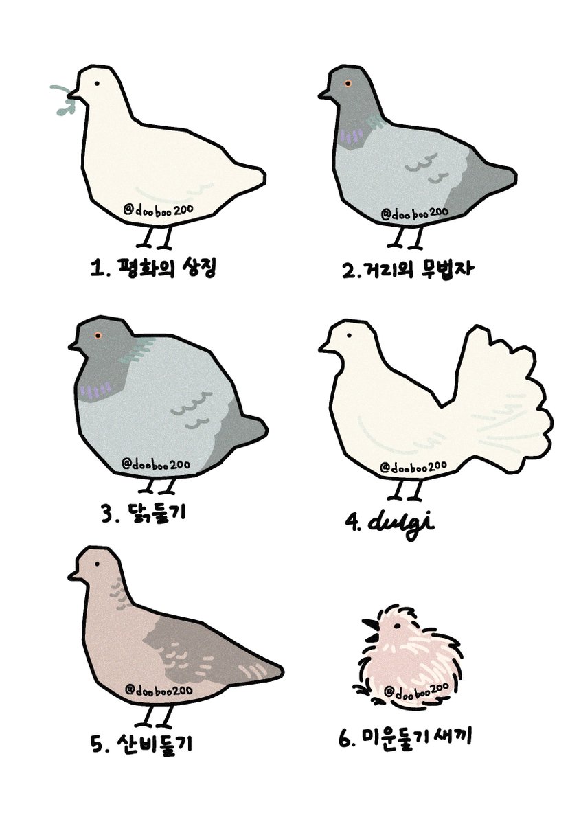 dooboo200's tweet photo. 다양한 비둘기 그려보았다 https://t.co/04z4rMgJC0
