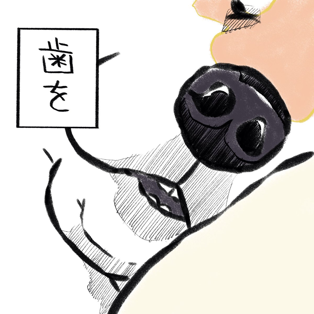 kogudon2990's tweet photo. よおおおおおぉぉおくっ！見たら歯が出てた笑っ！！
#おもちさんの日常 https://t.co/cESi8eqsv0
