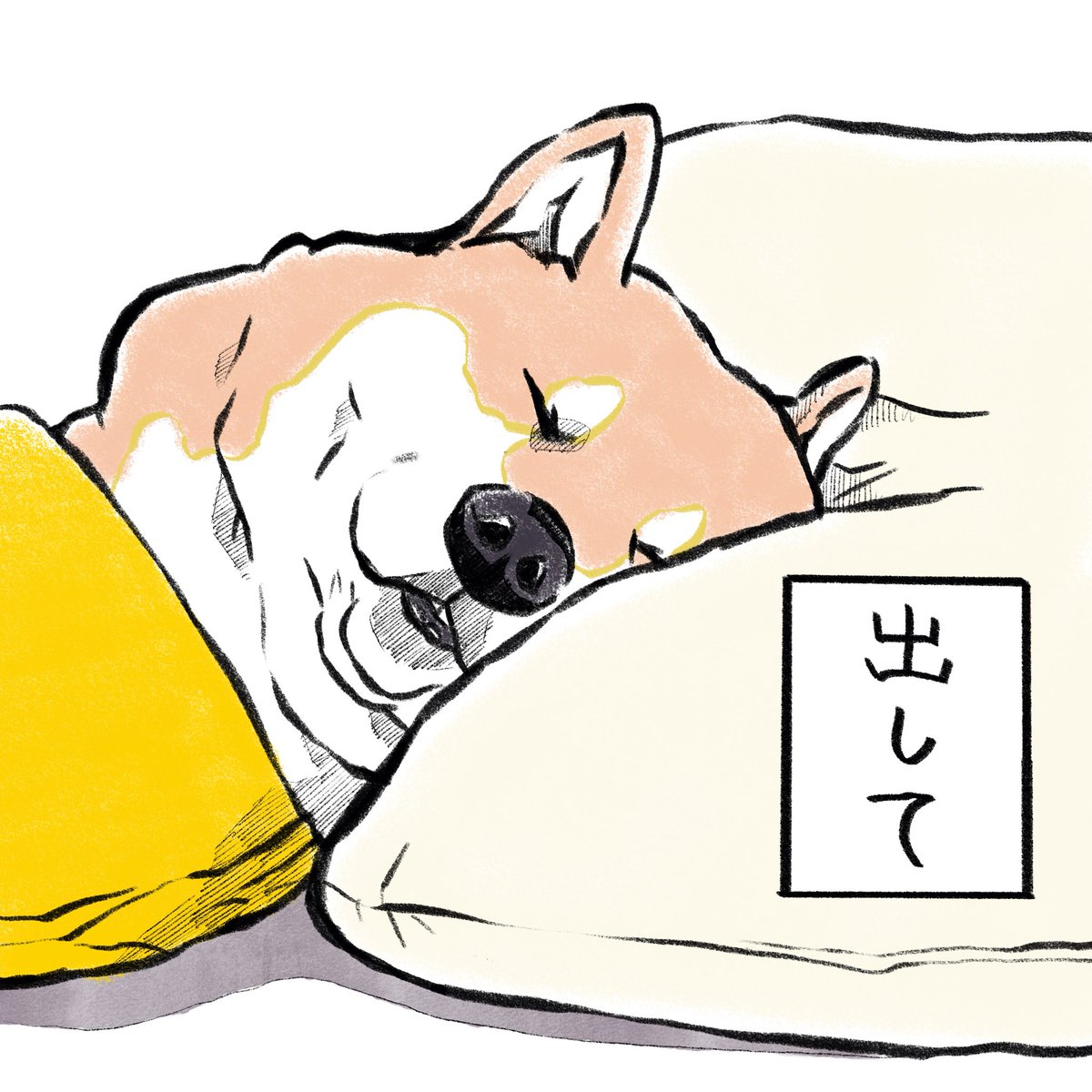 kogudon2990's tweet photo. よおおおおおぉぉおくっ！見たら歯が出てた笑っ！！
#おもちさんの日常 https://t.co/cESi8eqsv0
