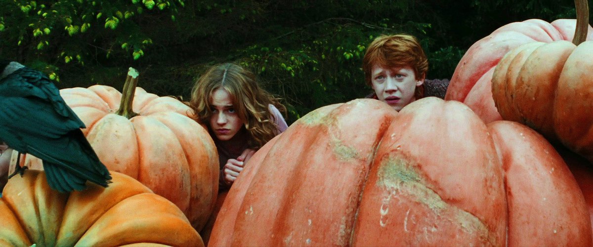 cozyromione's tweet photo. 🎃🪾🍂🐦‍⬛ https://t.co/rFjffBxUGd