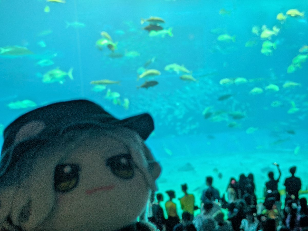 hanarabi_fix's tweet photo. 行ってきた https://t.co/IFzaWN3ubs