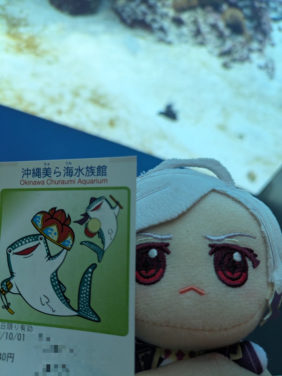 hanarabi_fix's tweet photo. 行ってきた https://t.co/IFzaWN3ubs