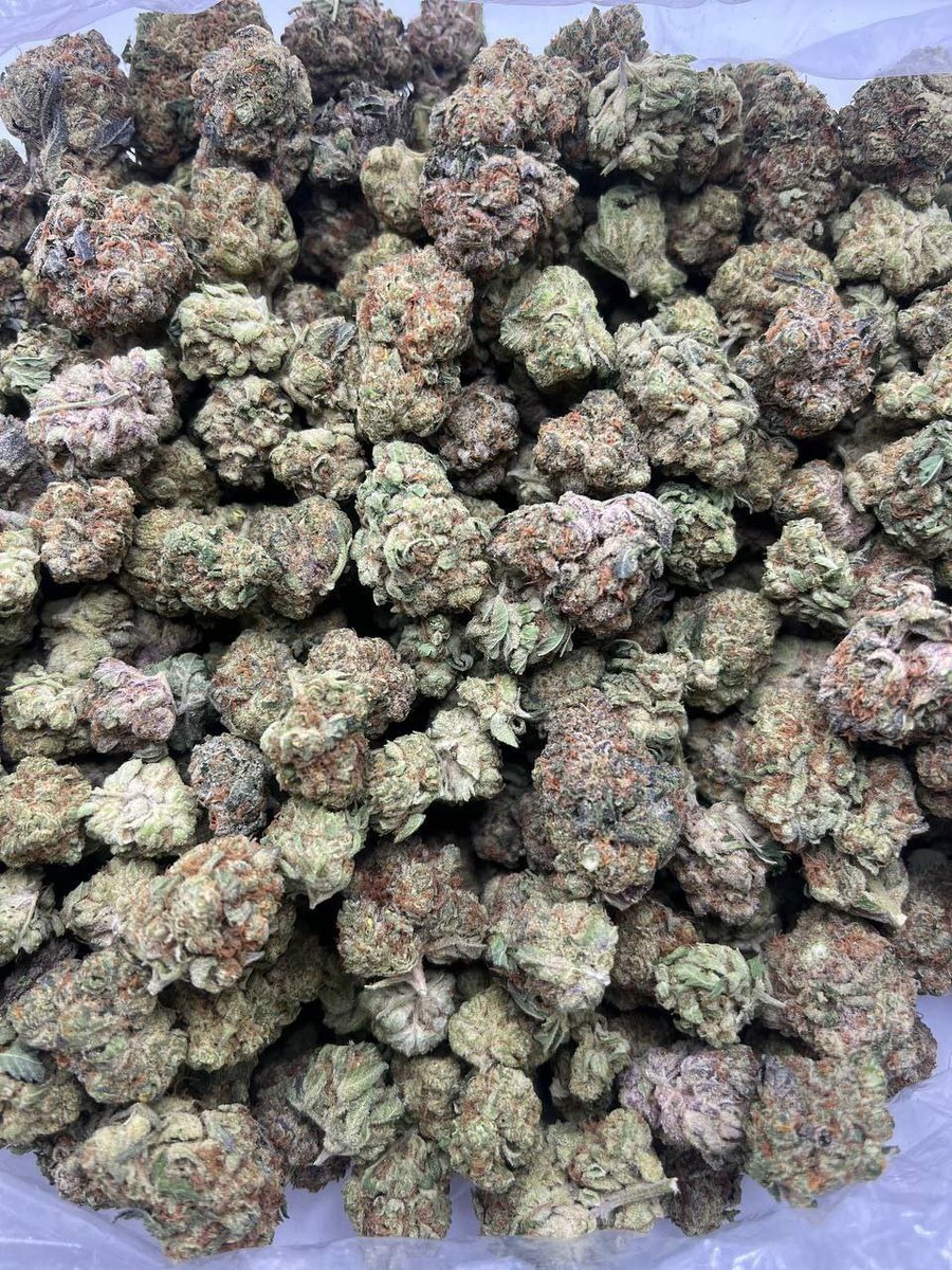 Darius_buds420's tweet photo. The Zoap By Essentiallabs 💎
$1500
Only 1

☎️ Order on https://t.co/hInMyNg33V

Whatsapp +1 (518)932-6815
#zaza #weedstore #weed #plug #drustm #drug https://t.co/Xx1pP1IoJP