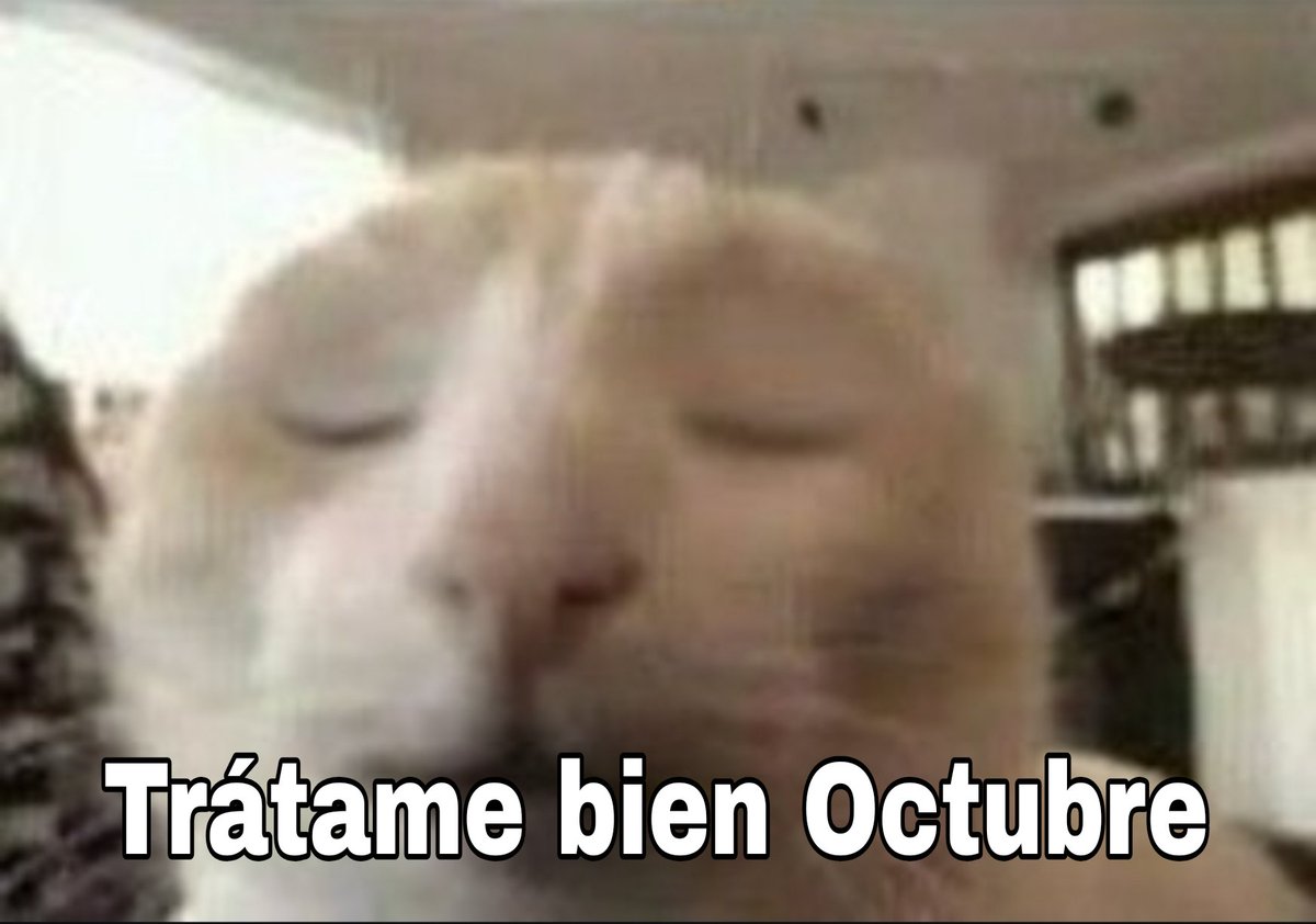 memes_una's tweet photo. https://t.co/i7sR6vt64u