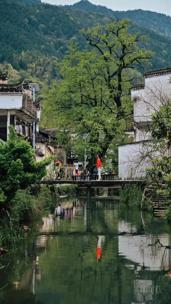 jamec4f3629's tweet photo. In a quiet corner of the town, a quiet story unfolds: the small colony by the stream stays, the ancient town wall still stands, guiding us forward in light, and we shun the evil that lingers. https://t.co/K8WwiidUoD