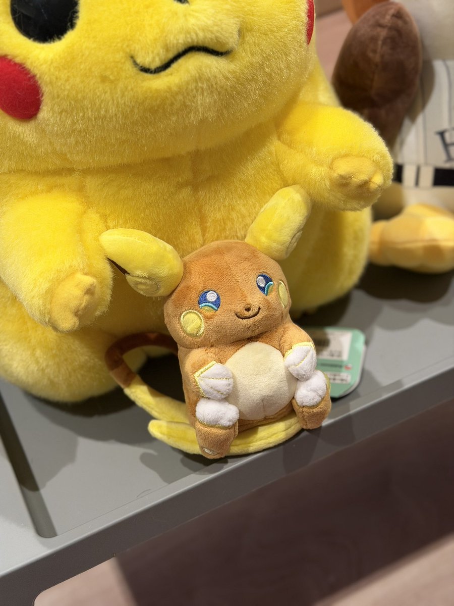 nos_log's tweet photo. fitのアロライちゃん探してたんだけど今日たまたま見つけてお迎えできたの嬉しい〜⚡️ https://t.co/Slwi836Or8