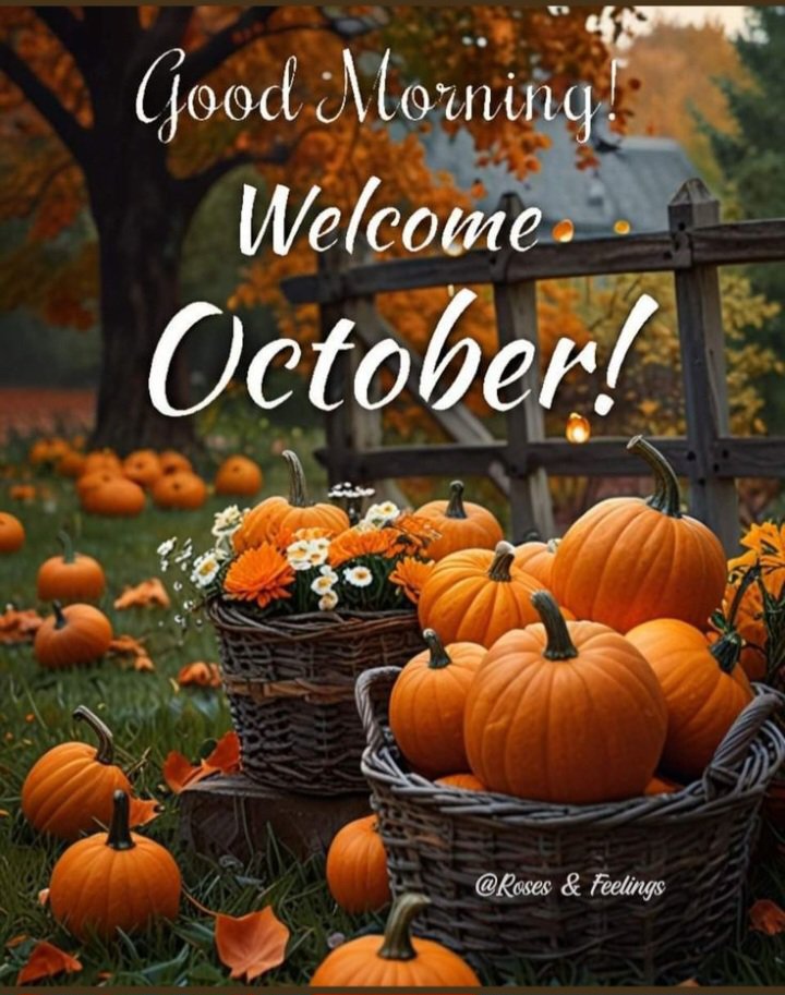 deborah_bucher's tweet photo. Good morning, my X family 🍁🎃 Happy October 🍁 I feel like I missed September! It went so fast. Have a fantastic day, stay safe, and keep smiling 😊 God Bless https://t.co/RTRxXaeR6I
