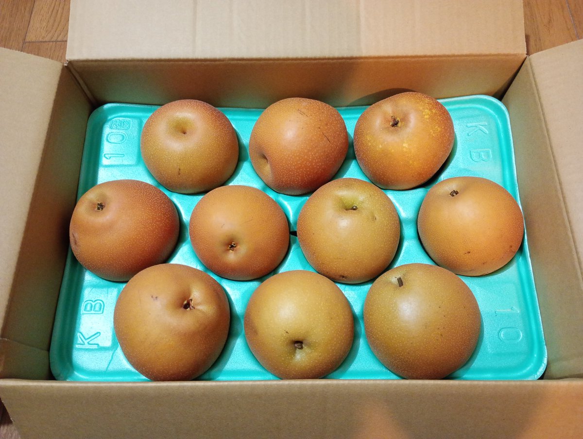 assetforest2025's tweet photo. 茨城県筑西市からふるさと納税の返礼品、梨5キロが届きました😊
大きくて美味しそう🍐 https://t.co/5uVFPYLLza
