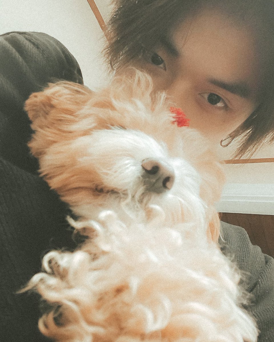 yeonbindiary's tweet photo. https://t.co/uregS65szH