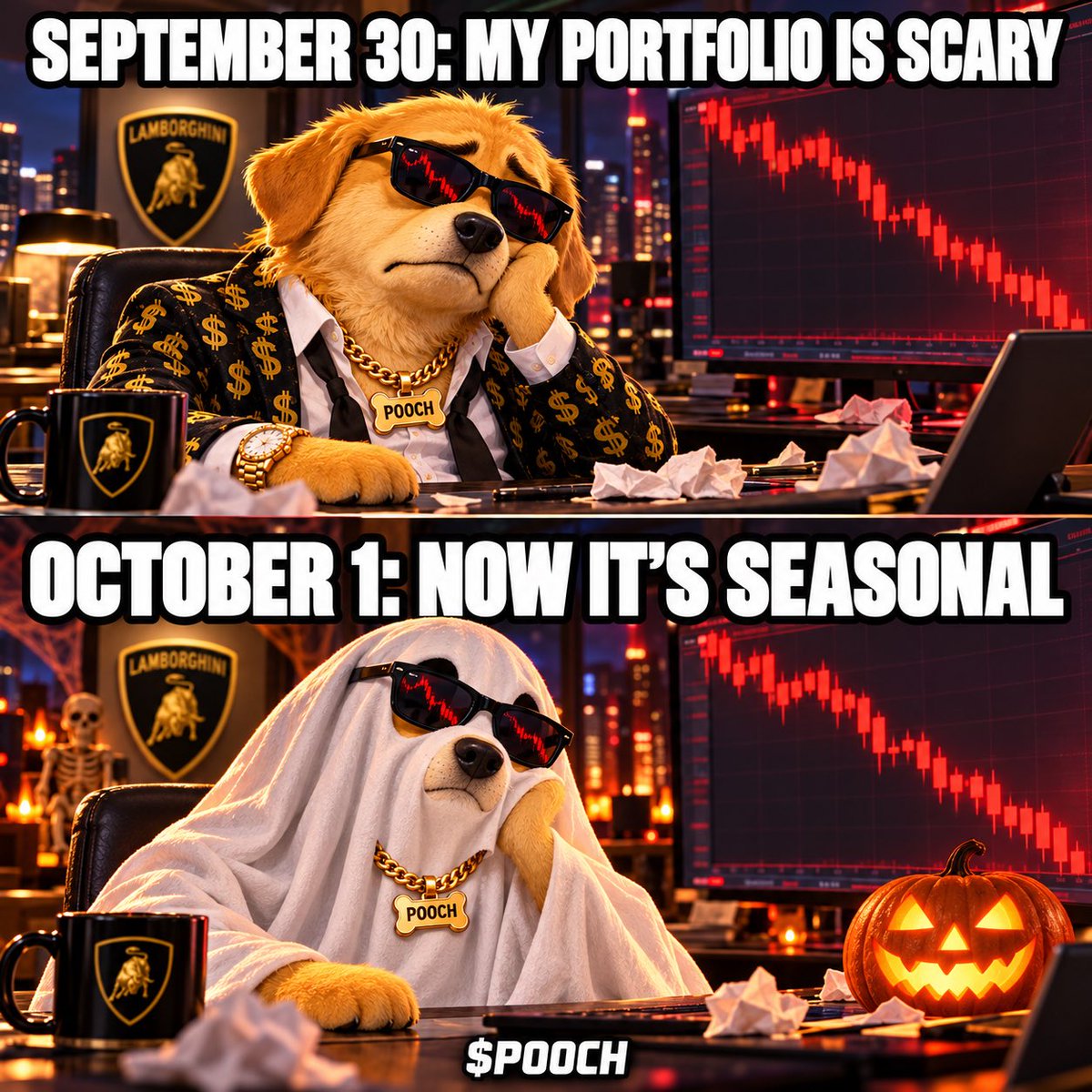 1Poochee's tweet photo. Same financial decisions. Now with pumpkins. 🎃🐶 Happy October! https://t.co/w9t6AVVHyW