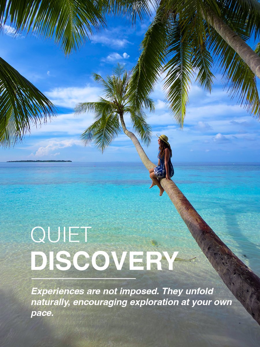 VilamendhooMV's tweet photo. Quiet Discovery
We look forward to diving into nature together again soon. The island paths and vibrant house reef are waiting for your return. Start dreaming of your next quiet discovery.
Dive into Nature.
#vilamendhoomaldives #vilamendhoo #diveintonature https://t.co/TlvYL6kZHR