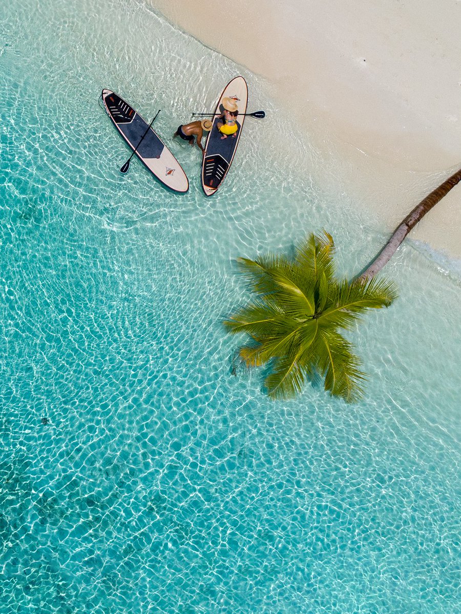VilamendhooMV's tweet photo. Quiet Discovery
We look forward to diving into nature together again soon. The island paths and vibrant house reef are waiting for your return. Start dreaming of your next quiet discovery.
Dive into Nature.
#vilamendhoomaldives #vilamendhoo #diveintonature https://t.co/TlvYL6kZHR