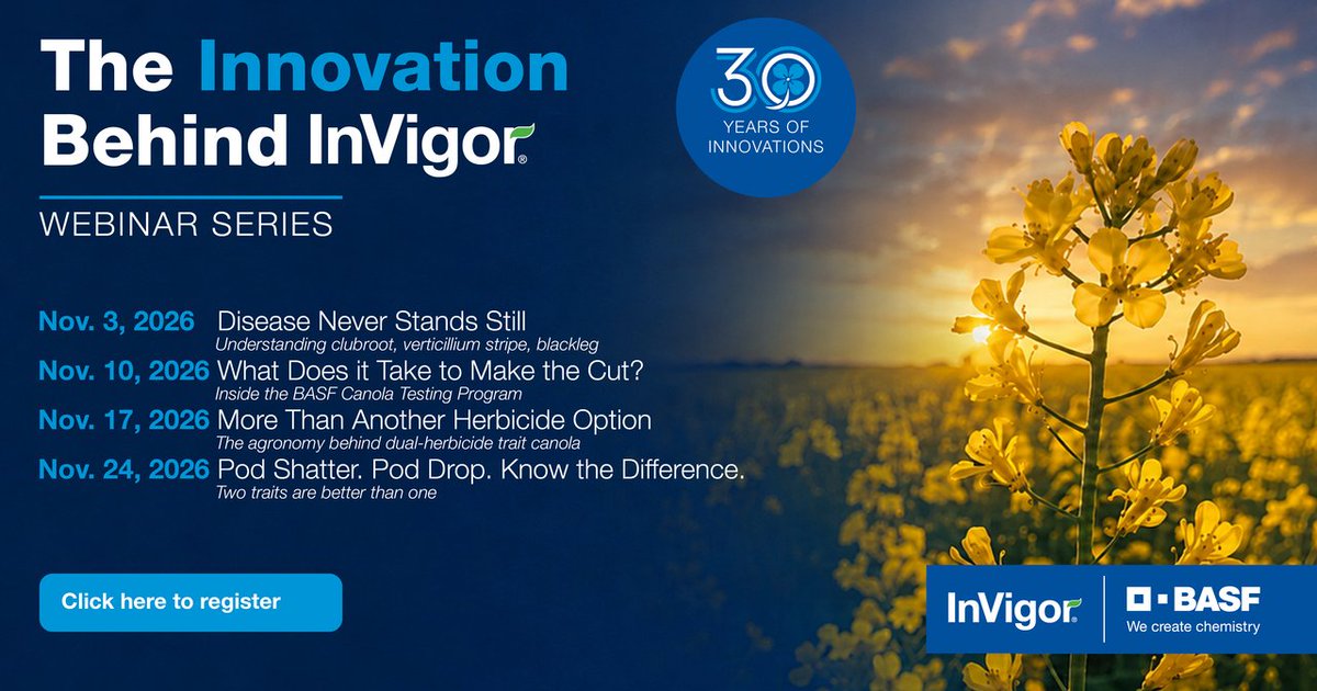 BASFAgSolutions's tweet photo. Innovation has been at the heart of InVigor for 30 years, and now we’re bringing that expertise directly to you.

Join The Innovation Behind InVigor webinar series for practical conversations on canola disease, hybrid testing, pod shatter and dual-herbicide trait agronomy that can help inform decisions on your farm. Register now: https://t.co/98Sley2vW3 
#WestCdnAg