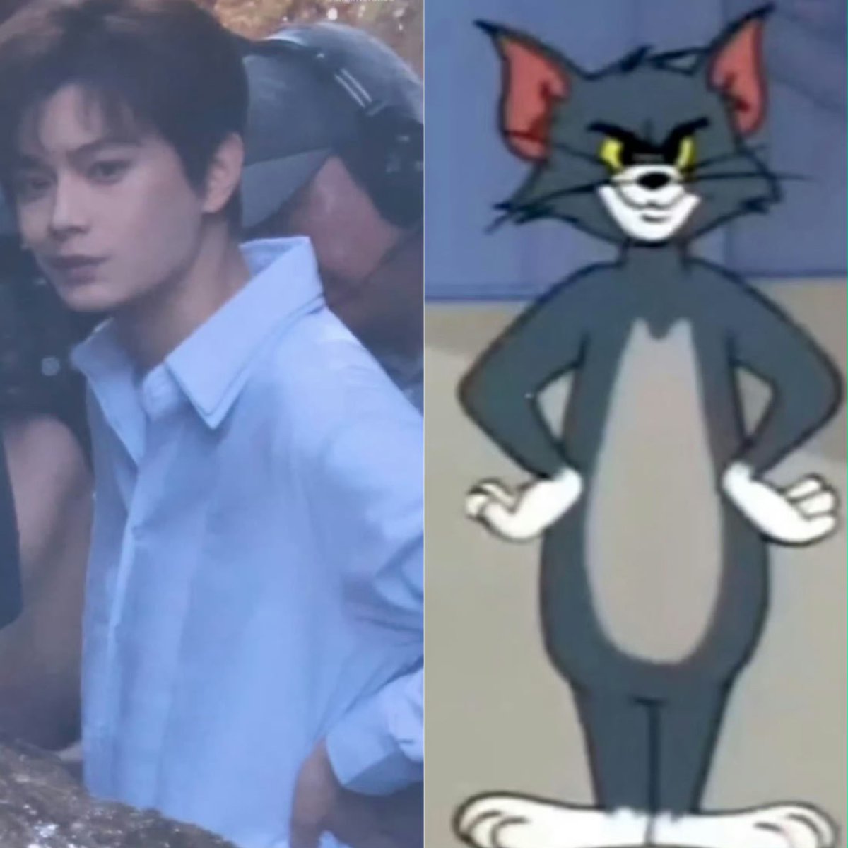kittyuxixis's tweet photo. Our kitty is tom https://t.co/dfgfeAqeb8