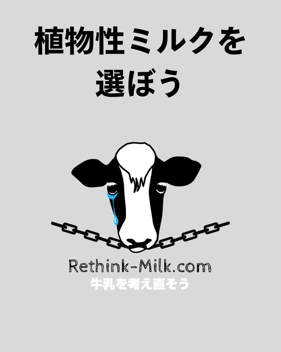 pigshavehearts's tweet photo. 「放牧100％」の牛乳を見つけるのは、実は簡単ではありません。

一般的な牛乳は、複数の農場から集められた生乳が混ざっている場合が多いため、すべての牛が放牧されている牛乳を選ぶのは、とても難しいのです。

種類が豊富な植物性ミルクを選ぼう！

#牛乳 #チーズ #バター 
#豆乳 #アーモンドミルク