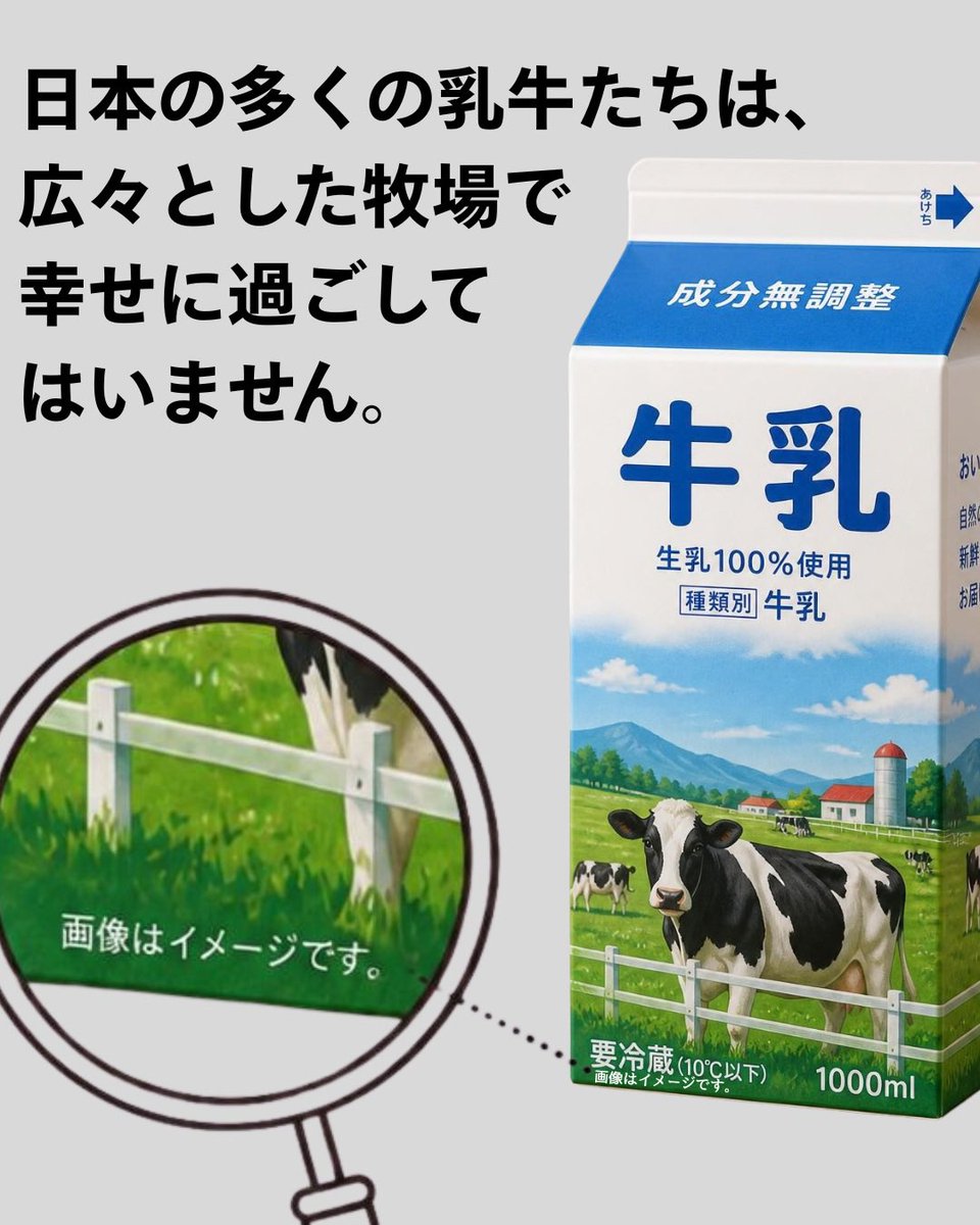 pigshavehearts's tweet photo. 「放牧100％」の牛乳を見つけるのは、実は簡単ではありません。

一般的な牛乳は、複数の農場から集められた生乳が混ざっている場合が多いため、すべての牛が放牧されている牛乳を選ぶのは、とても難しいのです。

種類が豊富な植物性ミルクを選ぼう！

#牛乳 #チーズ #バター 
#豆乳 #アーモンドミルク
