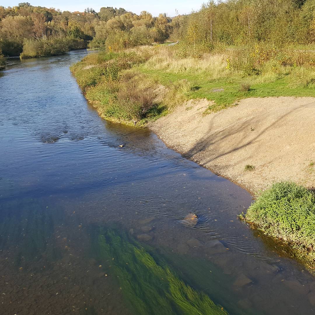 vicmanuel2009's tweet photo. Ruhr! ! #hüsten #sauerland #wanderlust #heimatliebe #ruhr #sonne #sun #vakantie #nature #outdoor #summer #sommer #riff #koralle #cloudless #fluss #meer #sea #hsk #pictureoftheday #river #herbst #autumn🍁 https://t.co/l83medsJ2r
