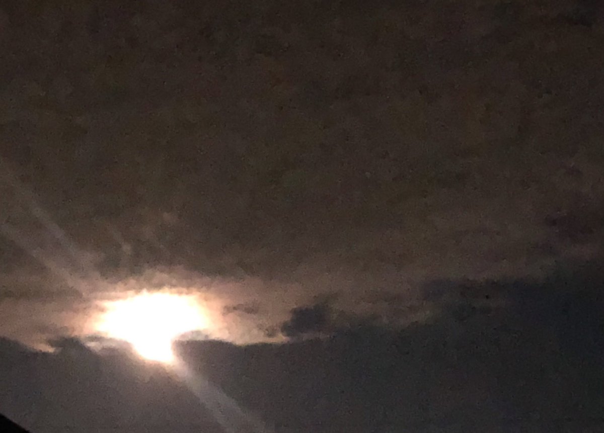 agnes03706577's tweet photo. イマツキ🌙 https://t.co/vagwzMU9qk