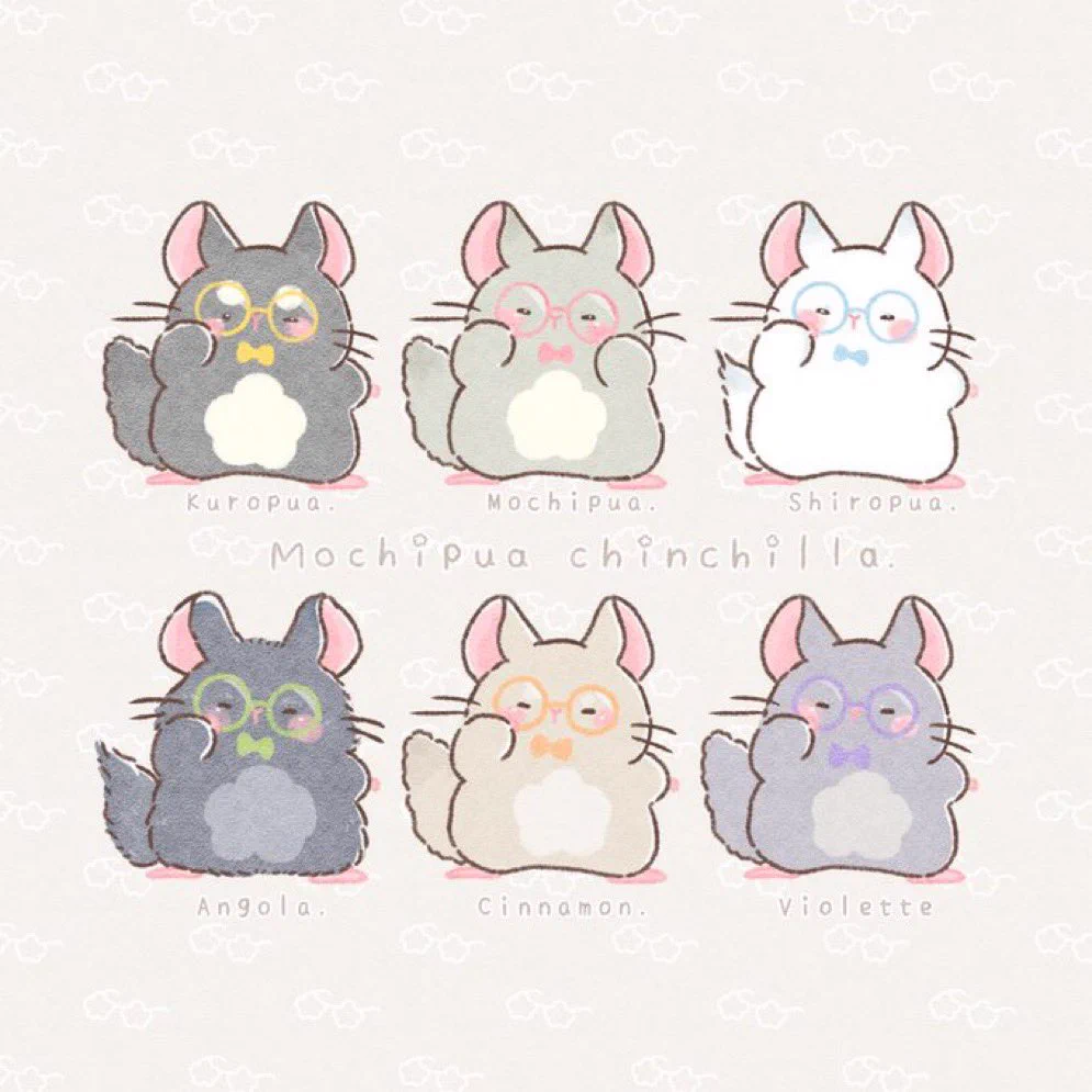 そらなな🐢🌷 on X: 