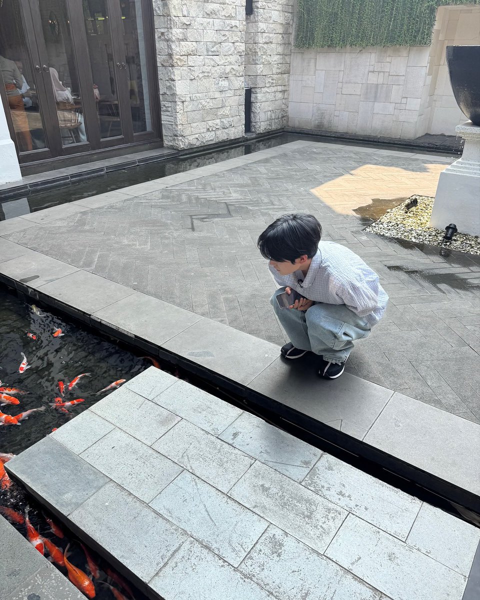 tapiiocacat's tweet photo. 저 물고기 보는거 좋아해요 https://t.co/JAKtNVBIEz